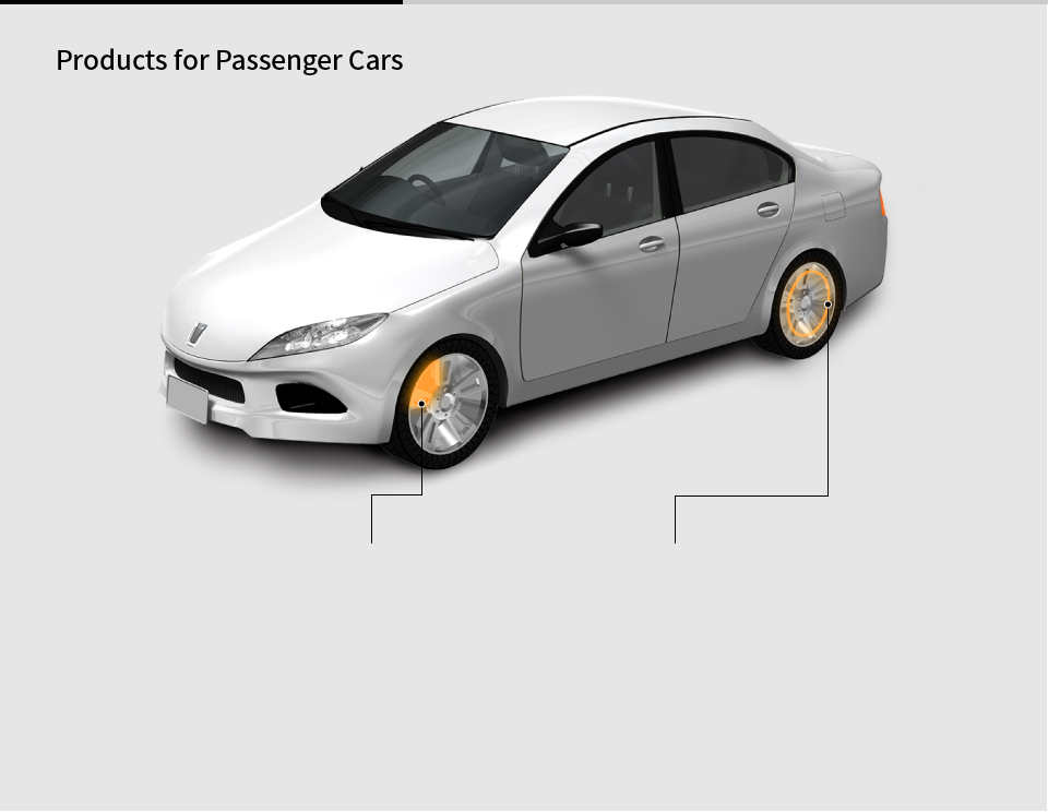 Products for Passenger Cars