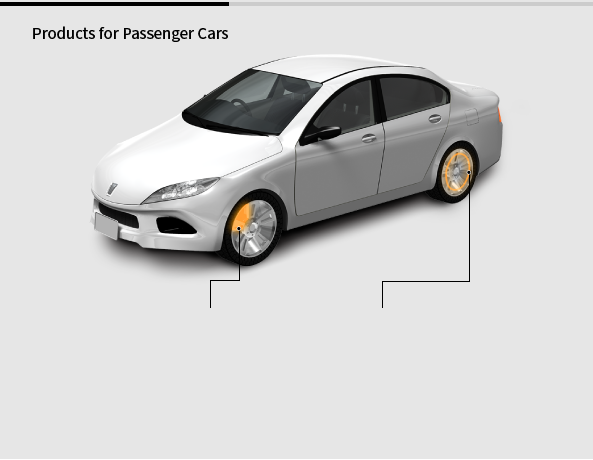 Products for Passenger Cars