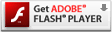 Get ADOBE FLASH PLAYER