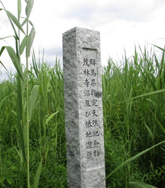 A monument designating Shobayashi Pond as a natural monument