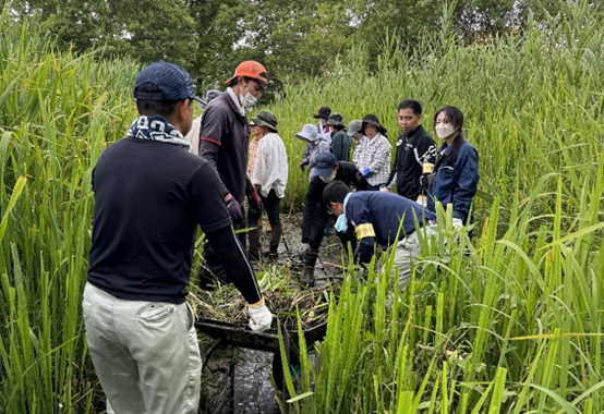 The scene of Kisoubu (Water Mimosa) eradication activities